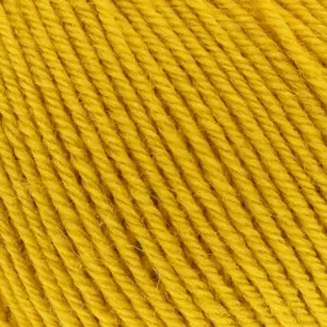 118 maize
