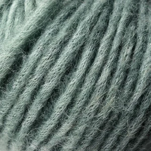822 Lichen