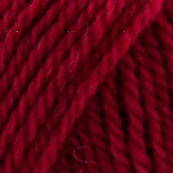13 raspberry