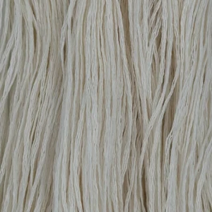 100 Birch Bark