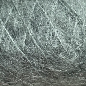 880 Lichen