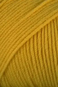 124 maize