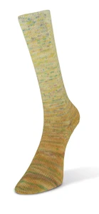 17 Paint Gradient Sock NEW
